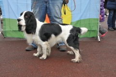 02-01-03