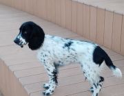 IMG_20240314_070643_283