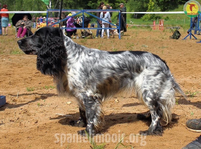 12-mesto-afina-denyakin-a-a