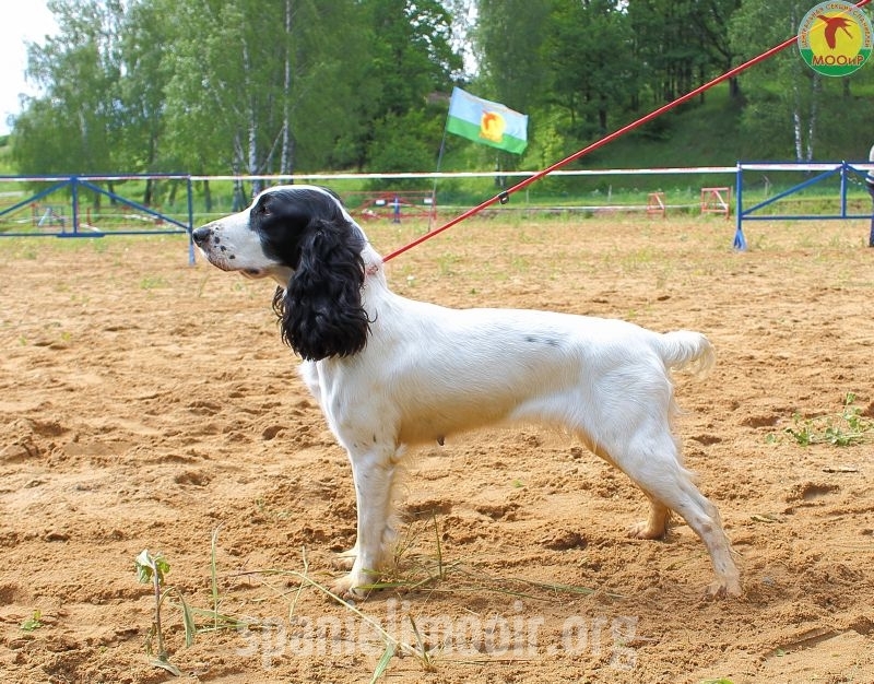 18-mesto-feya-aleksandrov-a-v