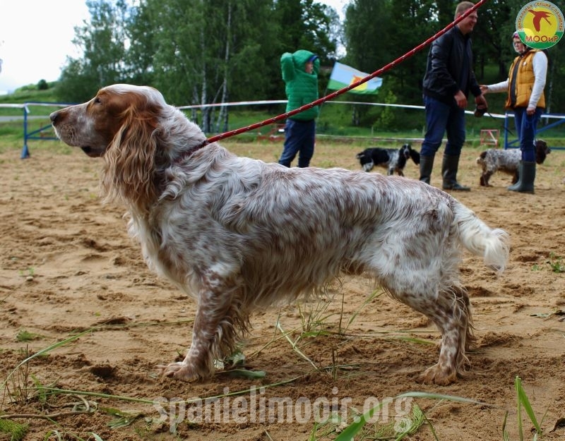 2-mesto-timoti-bakster-tkachuk-i-a