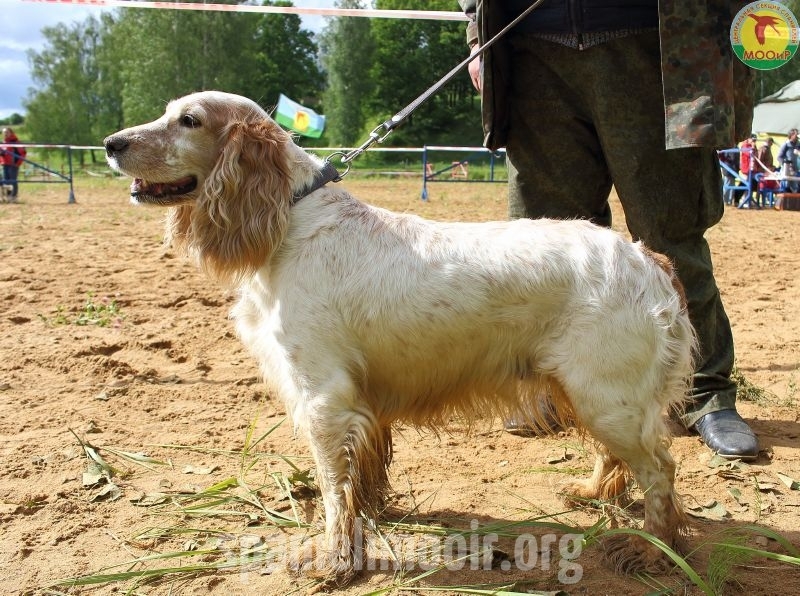 23-mesto-dyera-shilkin-a-yu