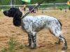 5-mesto-leyla-luna-ot-tessy-ivlev-p-v