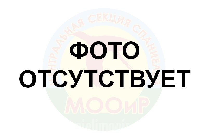 фотография отсутствует
