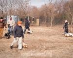 sv_20150328_05