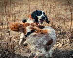 sv_20150328_13